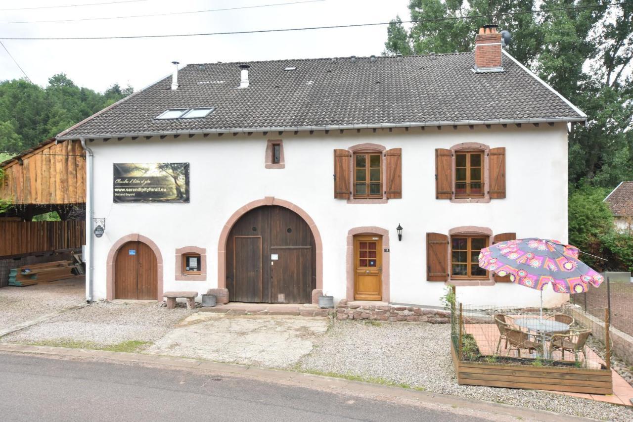 Serendipity Bed&Breakfast Saint-Die-des-Vosges Ngoại thất bức ảnh