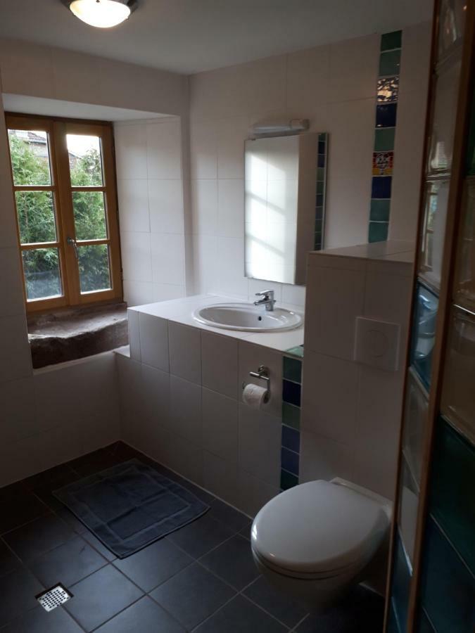 Serendipity Bed&Breakfast Saint-Die-des-Vosges Ngoại thất bức ảnh
