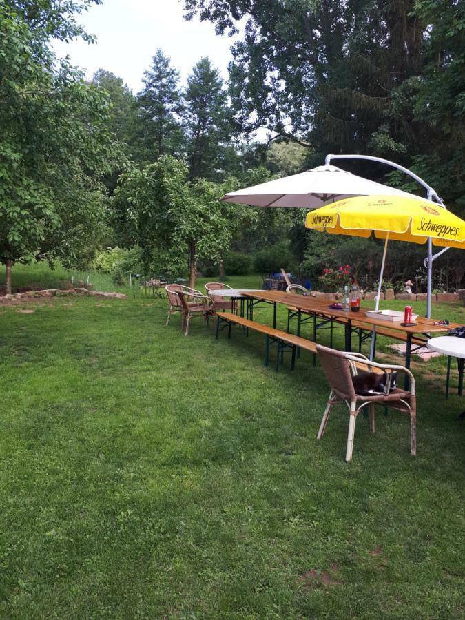Serendipity Bed&Breakfast Saint-Die-des-Vosges Ngoại thất bức ảnh