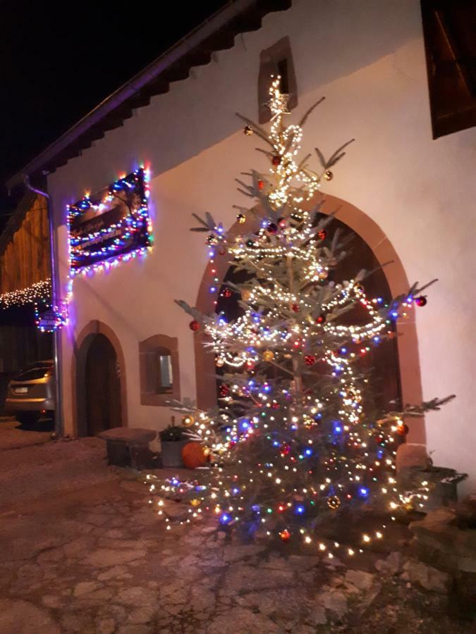 Serendipity Bed&Breakfast Saint-Die-des-Vosges Ngoại thất bức ảnh