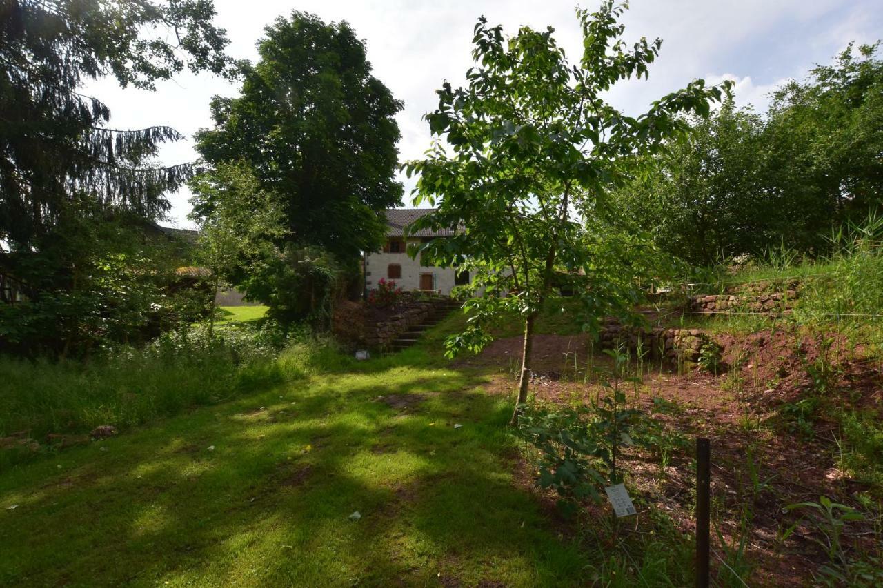 Serendipity Bed&Breakfast Saint-Die-des-Vosges Ngoại thất bức ảnh